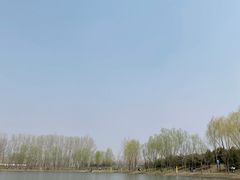 -东郊湿地公园