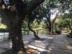 -晓港公园