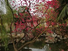 -南通博物苑-崇川人民公园