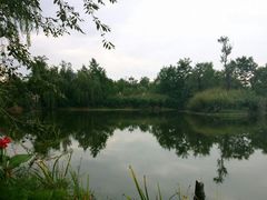 -白鹭湾湿地公园