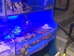 -臻鲜燕海鲜融合餐厅(金陵style店)