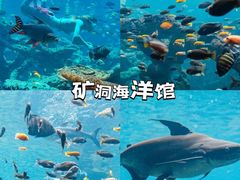 -长鹿旅游休博园