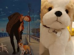 -猫尾侦探俱乐部·剧本杀·狼人杀