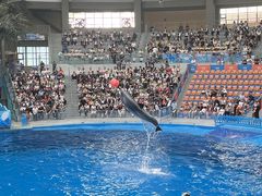 -海合安成都极地海洋公园