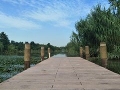 -白鹭湾湿地公园