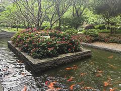 -南宁荔园维景国际酒店·荔园中餐厅