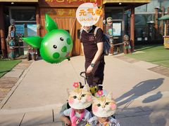 -呀路古热带植物园