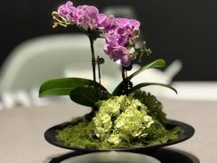 -许家菜(望江店)