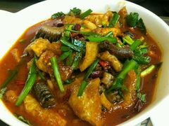 -福照楼汽锅鸡·云南菜(护国路店)