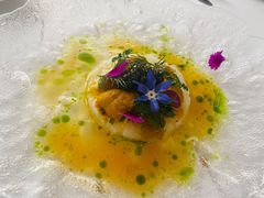 新西兰鳌虾配海胆日本柚子汁-蝶舍·MAISON PAPILLON