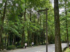 -青城山
