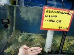 -蚝专家(北滘店)