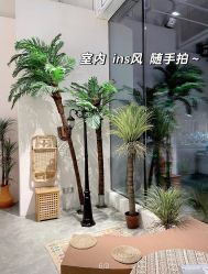 -好看加白色房子