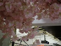 -麻辣无情重庆老火锅(桐庐店)