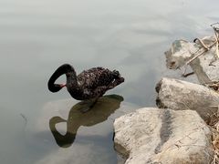 -颐和园