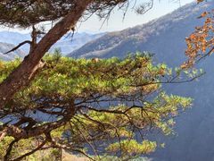 -五女峰国家森林公园