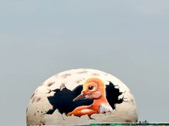 -黑龙江扎龙生态旅游区