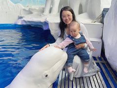 -秦皇岛乐岛海洋王国