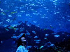 -海合安成都极地海洋公园