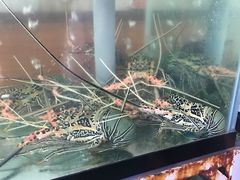 -QQ海鲜餐厅