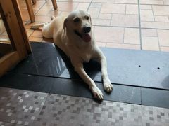 -朕悦鹧鸪饭私房菜