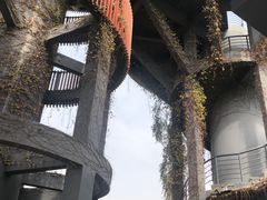 -芒洲湿地公园