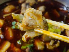 鸡肉-时二崽肥肠鸡大排档(健康路店)