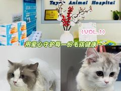 -泰洋动物医院·神经专科·磁共振·CT(天河公园总院)