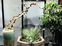 -晶泽丽琅·鱼鲜川菜(川师店)