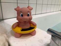 -Pony Baby宝尼婴幼儿游泳SPA馆