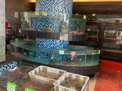 -鹏城人家海鲜酒家·23年老字号(较场尾店)