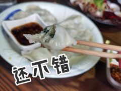 鲅鱼饺子-鲁前海沿儿