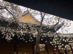 -龙华寺