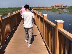 -白洋淀景区