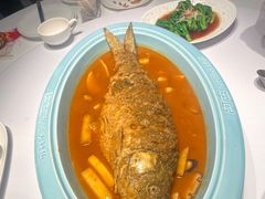 -阿五黄河大鲤鱼(英协路店)
