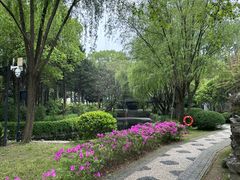 -美味之家·湖景农家乐(太湖东山店)