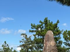 -玉苍山国家森林公园