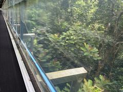 -七仙岭温泉国家森林公园