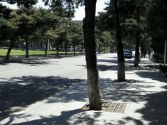 -东北大学(南湖校区)