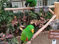 -南宫五洲植物乐园