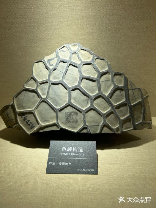 安徽省地质博物馆图片
