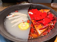 鸳鸯锅-阳阳老火锅(小南门店)