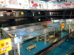 -马王堆海鲜水产市场