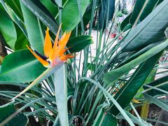 -国家植物园南园