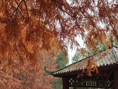 -滨湖塘西河公园