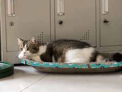-平行世界·猫咖(首经贸店)