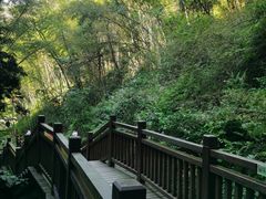 -常德桃花源景区