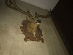 -Dark·大玩家馆沉浸剧情密室(黄埔店)