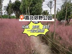 -嘉北郊野公园