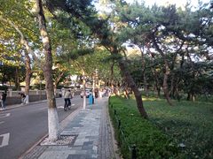 -八大关景区